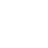 icon-consulting_0