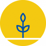 Cutting Edge Grant Logo of a Bud Sprouting