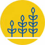 Next Stage Grants Logo of a few flowering plants