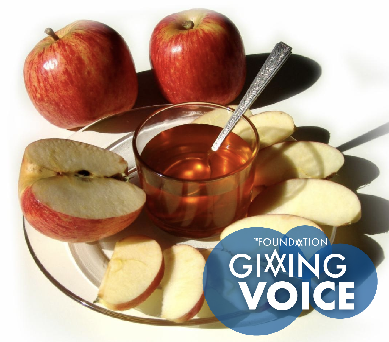 JCF_GivingVoice_OCTPublicationsPage